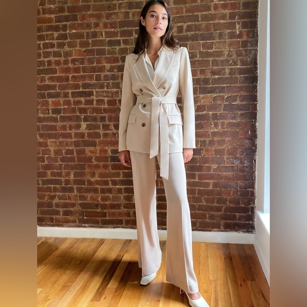 Aritzia Babaton Samuel Belted Blazer